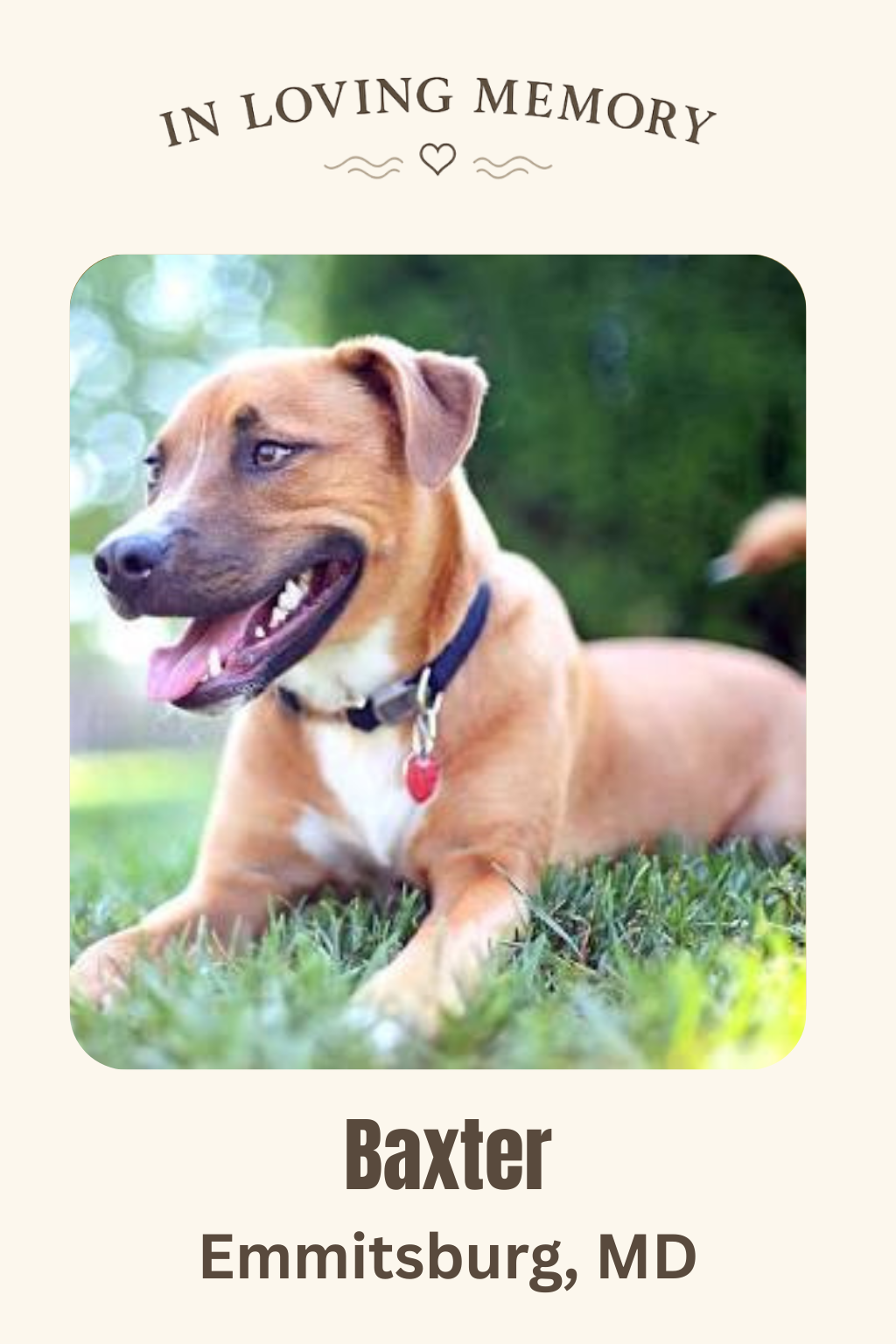 Baxter